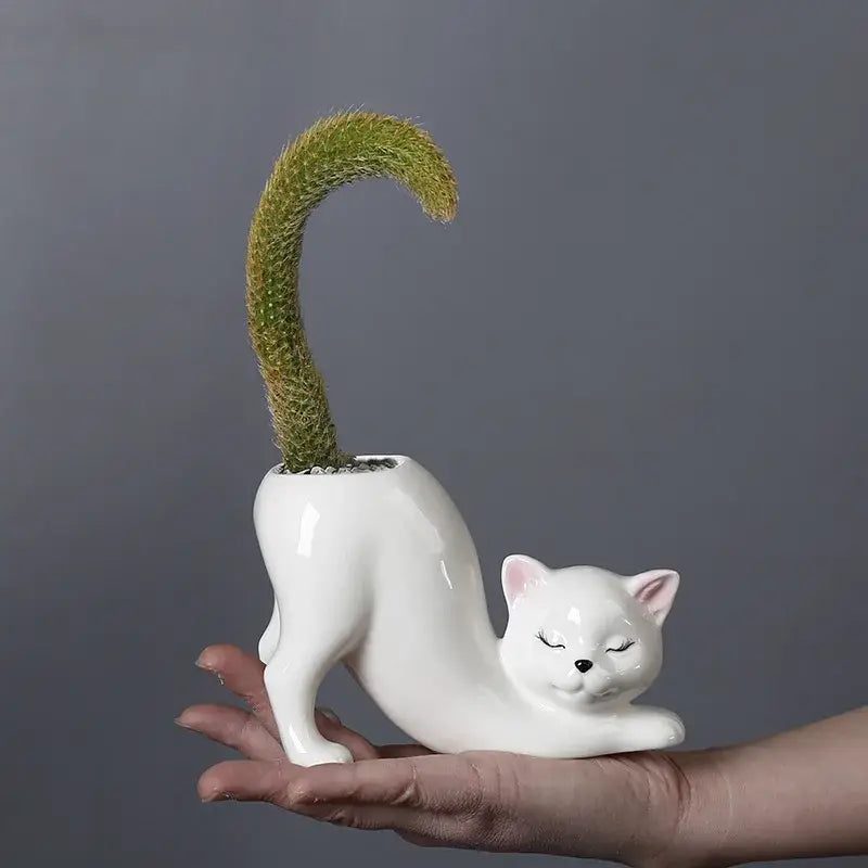 White ceramic cat tail planter with curved green cactus tail for bedroom decorbites cat tail succulent decor