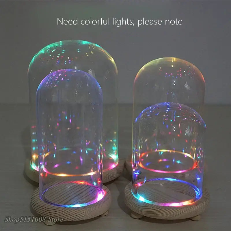 Clear glass dome night light with pink and gold dry flower ornaments illuminated by colorful led lights
