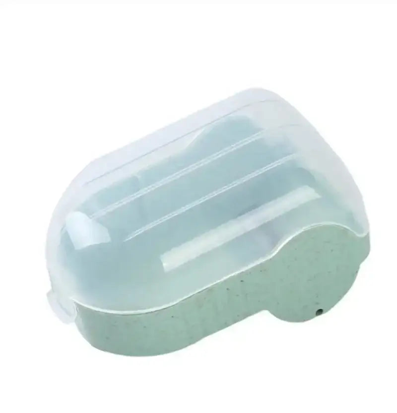 Transparent plastic car-shaped soap dish with light green base for afralia snail peeler kitchen tool use