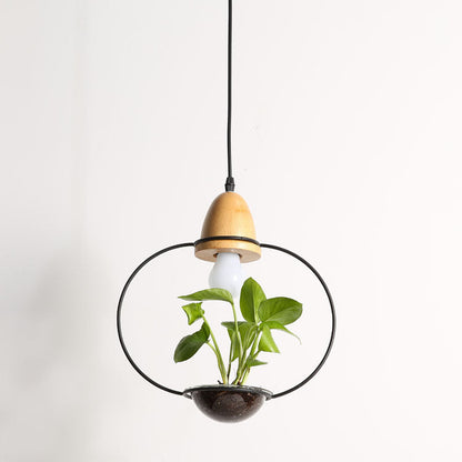 Wooden pendant light with hanging plant holder, black metal ring and base, modern design.