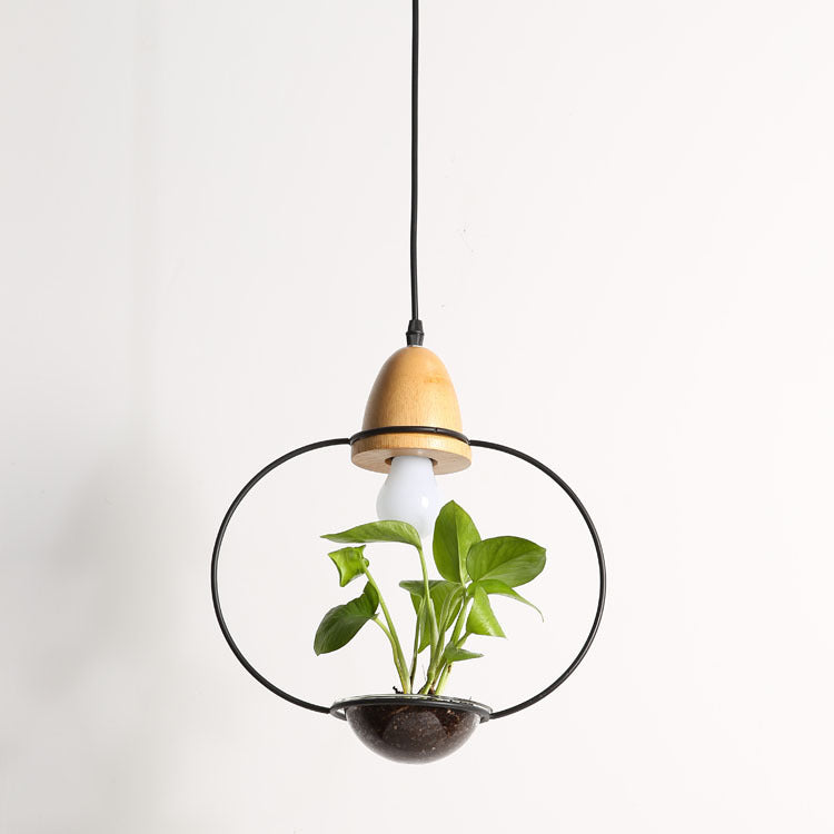 Wooden pendant light with black metal ring base and glass lampshade material glass in modern plant chandelier design