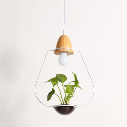 Wooden pendant light with glass enclosure and plant, modern design.