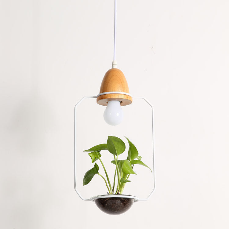 Wooden light bulb planter with glass enclosure and black pot.