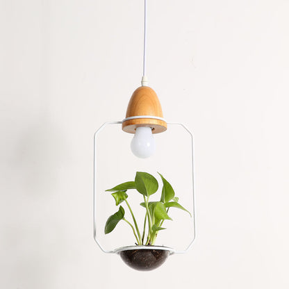 Wooden light bulb planter with glass enclosure and black pot.