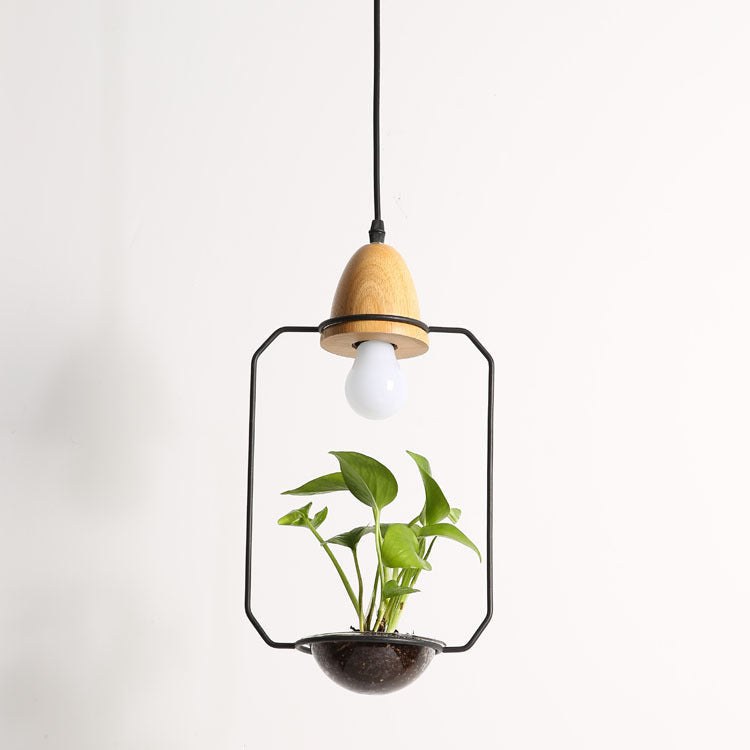 Wooden plant chandelier with black metal frame and hanging planter featuring green plant and glass lampshade material