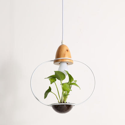 Wooden bulb planter with glass dome and black pot, modern design.