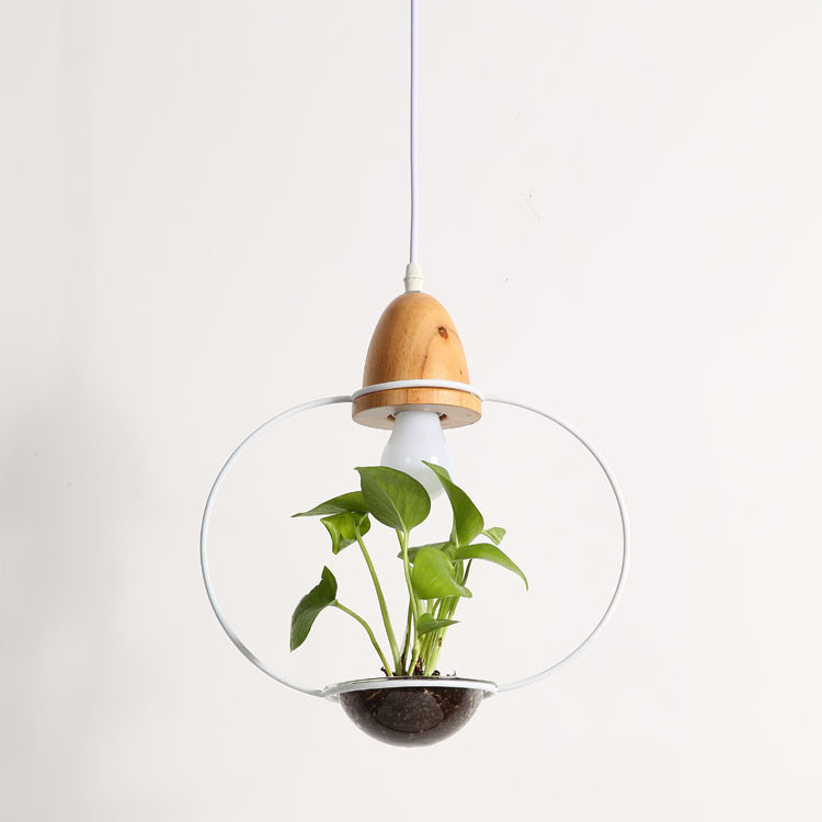 Wooden bulb planter Plant Chandelier with glass dome lampshade material glass and black pot light body design