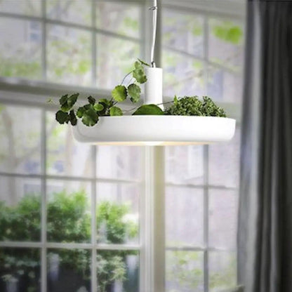 Planter Pendant Lighting