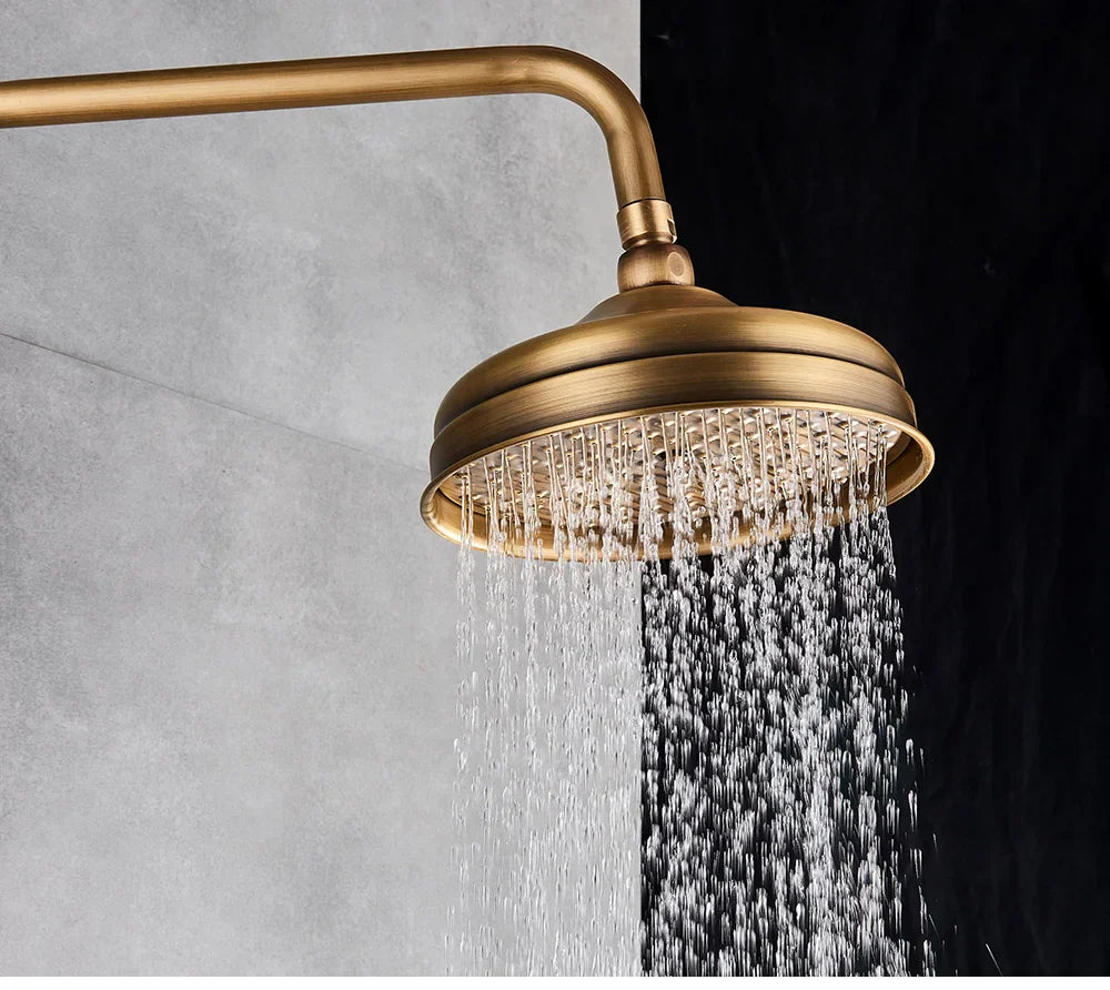 Antique brass-finished showerhead with circular multi-nozzle design in poiqihy shower set for bathroom use