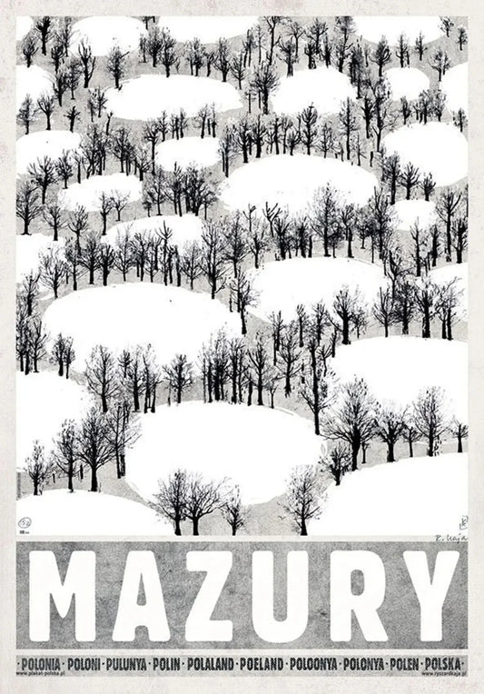 Poland City Vintage Posters Canvas Wall Art - MULTI / 50x70cm No Frame