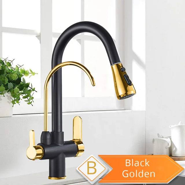 Black and gold stainless steel single hole kitchen faucet with dual handles, curved spout, and pull-down spray head