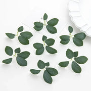 Dark green 50pcs silk 5leaf artificial roses with realistic veining and delicate stems arranged on white surface