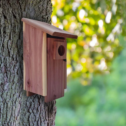 Red Cedar Bluebird House with Mounting Pole - United States