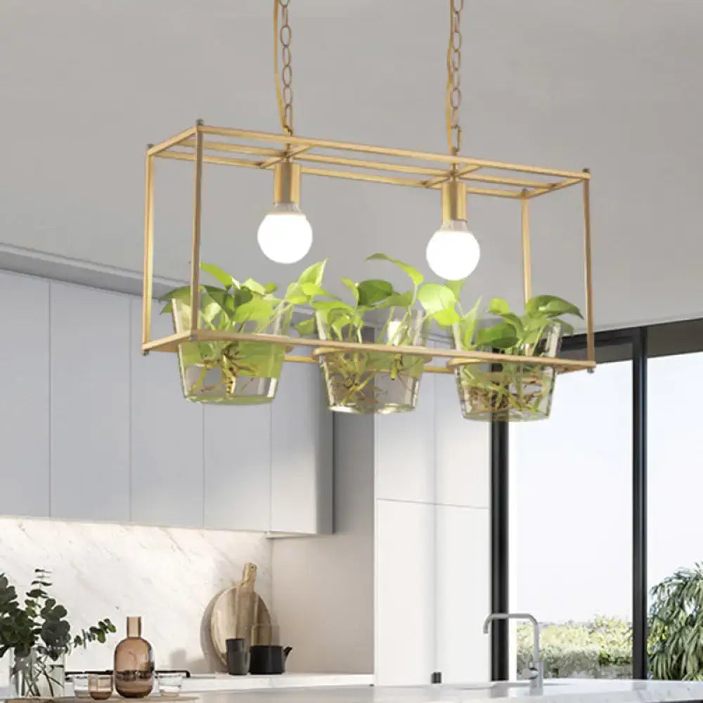 Gold-toned metal rectangle island ceiling light with three clear glass planters and exposed bulbs by decorbites