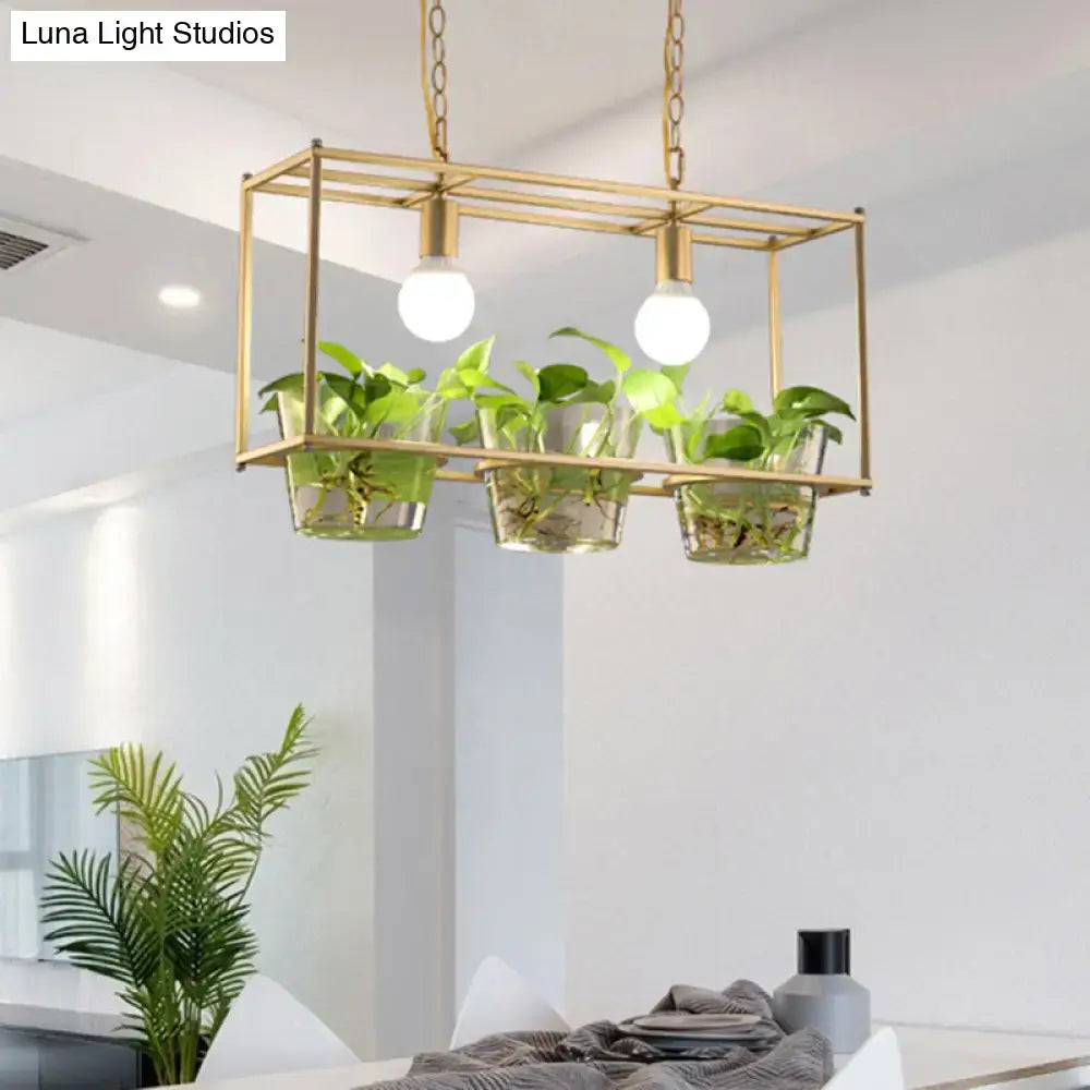 Gold-toned metal rectangle island ceiling light with three clear glass planters and green leafy plants suspended by chains