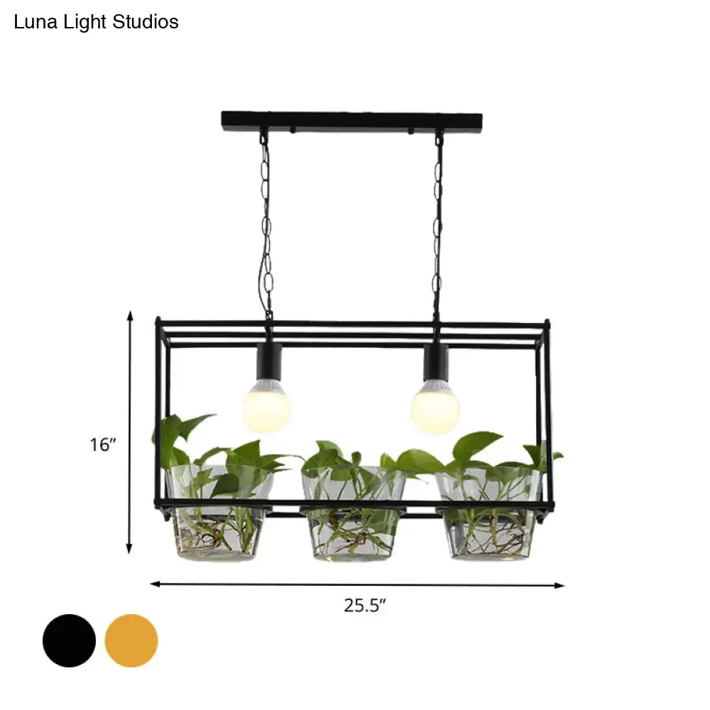 Black metal rectangle island ceiling light with three glass planters holding green vines and two exposed bulbs