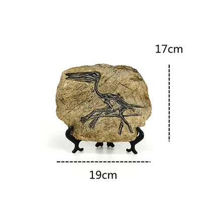 Beige fossilized rock with black pterosaur imprint retro animal statue on black stand for living room decor