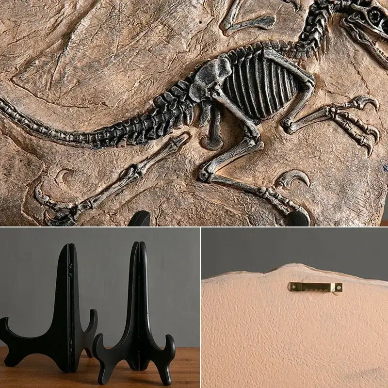 Detailed dark gray dinosaur fossil retro animal statue embedded in beige rock with black display stand for living room decor