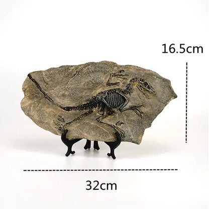 Detailed fossilized dinosaur skeleton retro animal statue in earth-toned rock on black stand for living room decor