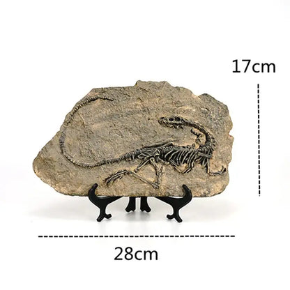 Detailed dark gray dinosaur fossil figurine embedded in textured rock slab on black stand for living room decor