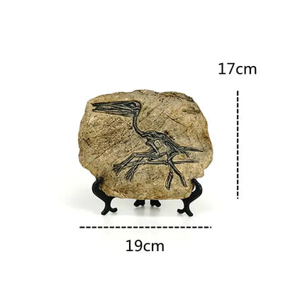 Beige fossil figurine with detailed black pterosaur imprint on black stand for retro gray and brown dinosaur fossil decor
