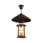 Rustic Black Hanging Pendant Light with Transparent Glass Cylinder and Pointy Hat Decoration, Single Bulb