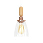 Rustic Rose Gold Hanging Lamp with Saucer/Bell Shade, Wood Handle, and Clear Ribbed Glass Pendant