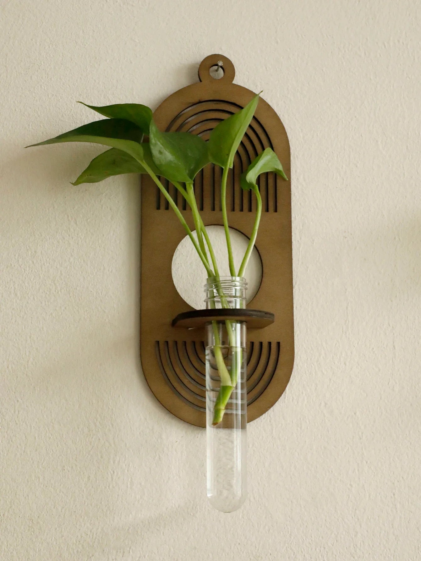 Rustic Wood Wall Vase for Greenery