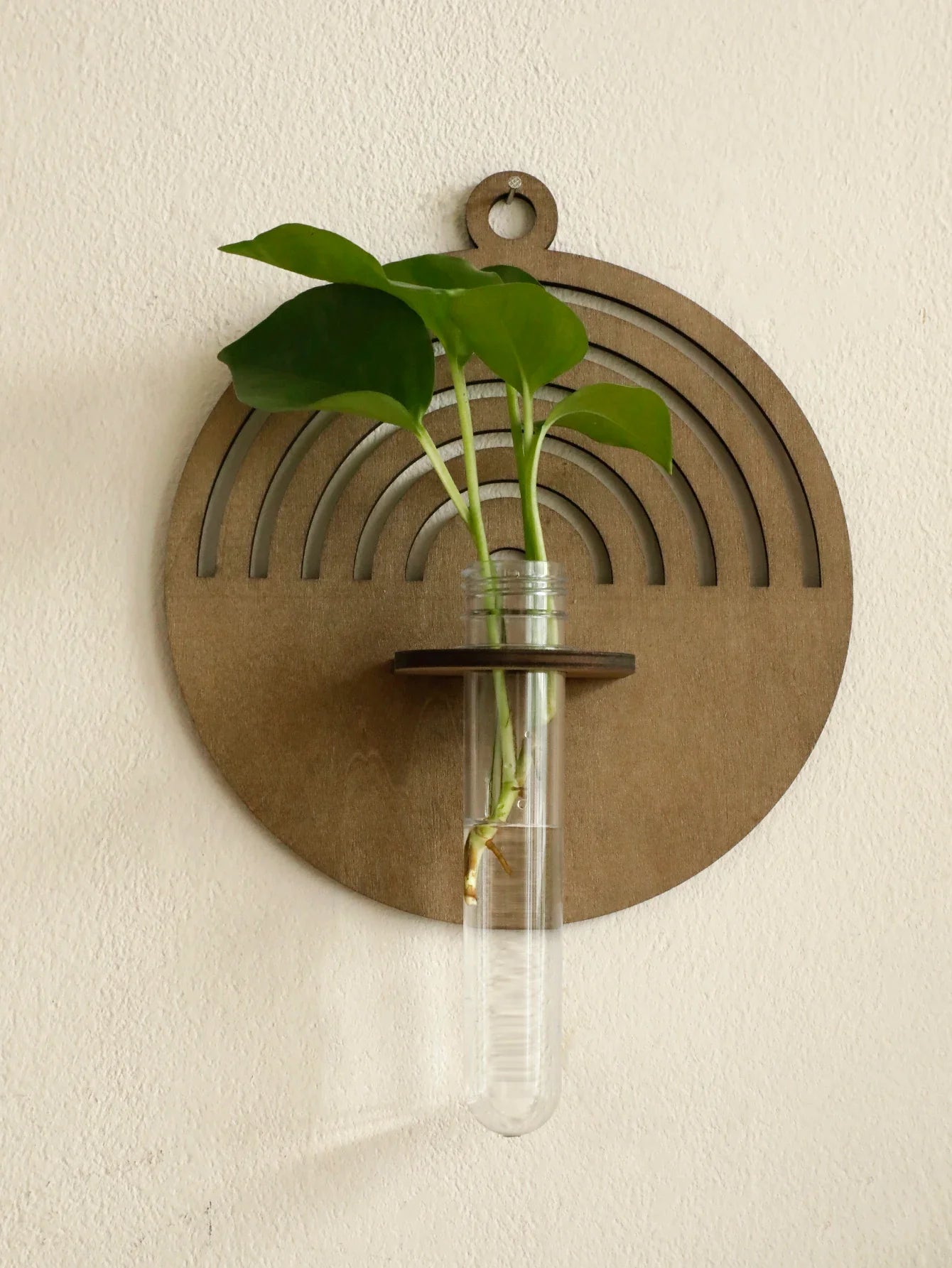 Rustic Wood Wall Vase for Greenery