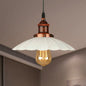 Scalloped Pendant Lighting 1-Bulb Hanging Light Fixture - Loft Style, Rust/Chrome Finish - Ideal for Over Table