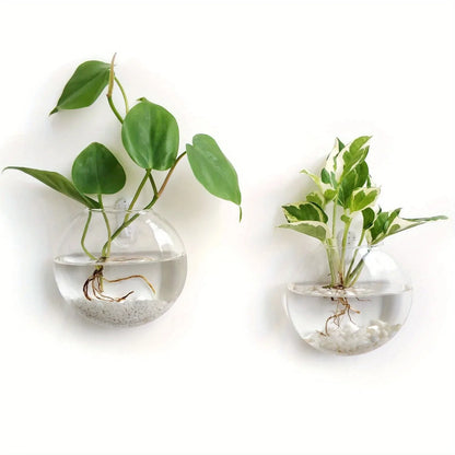 Self-Watering Glass Terrarium Set for Home Décor - 2PCS - Vase