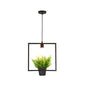 Single Plant Pendant Light Fixture - Rustic Iron Hanging Lamp in Black (Triangle/Square/Oval)