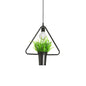 Single Plant Pendant Light Fixture - Rustic Iron Hanging Lamp in Black (Triangle/Square/Oval)