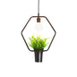 Single Plant Pendant Light Fixture - Rustic Iron Hanging Lamp in Black (Triangle/Square/Oval)