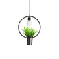 Single Plant Pendant Light Fixture - Rustic Iron Hanging Lamp in Black (Triangle/Square/Oval)