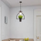 Single Plant Pendant Light Fixture - Rustic Iron Hanging Lamp in Black (Triangle/Square/Oval)