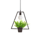 Single Plant Pendant Light Fixture - Rustic Iron Hanging Lamp in Black (Triangle/Square/Oval)