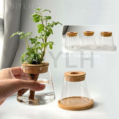 Small Transparent Glass Vase for Home Decor - Vase