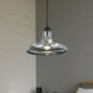 Smoke Gray Glass Industrial Pendant Lamp for Bedroom