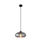 Smoke Gray Glass Mini Pendant Light - Modern Ceiling Hanging Light for Bar & Cafe