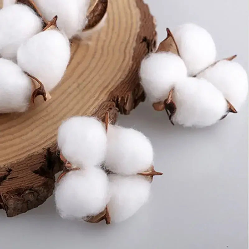 Plush white cotton bolls with brown stems on a rustic wooden slice complement soft pastel decorbites cotton jacquard towel blanket
