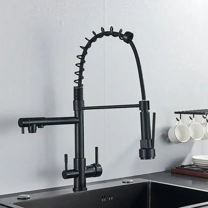 Black matte kitchen water filter faucet with stainless steel coiled spring and pull-down spray head for decorbites kitchen water filter