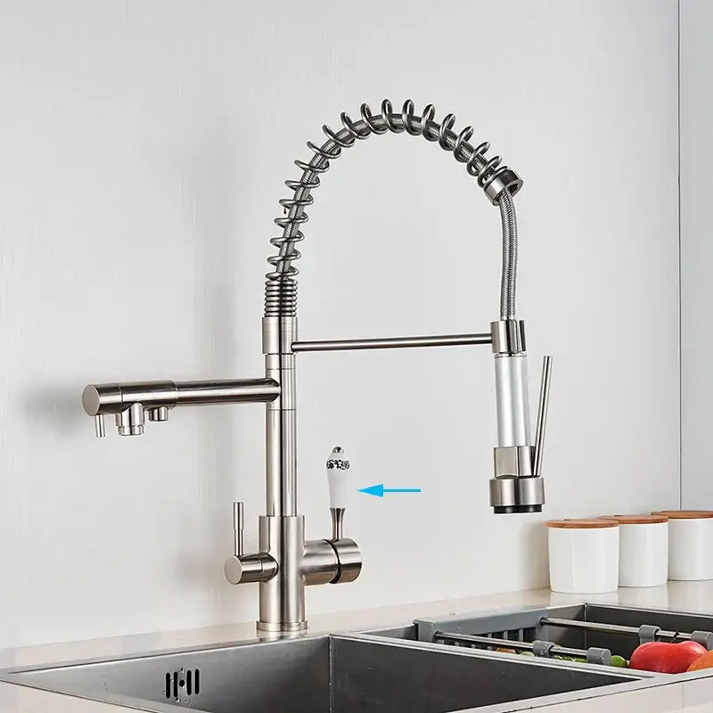Stainless steel coiled spring kitchen water filter faucet with flexible hose and white ceramic handle for decorbites kitchen water filter