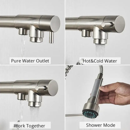 Stainless steel coiled spring kitchen water filter faucet with separate pure and hot cold outlets and adjustable shower head