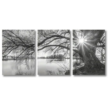 ’Stunning Big Tree Lake Sunset Canvas Posters’ - CJ50033-3PCS / 20x30cm no frame