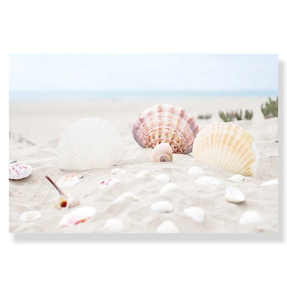 Summer Beach Seashell Canvas Wall Art - 9470-03 / A4 21x30cm No Frame - Posters