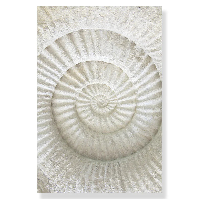 Summer Beach Seashell Canvas Wall Art - 9470-04 / A1 60x85cm No Frame - Posters