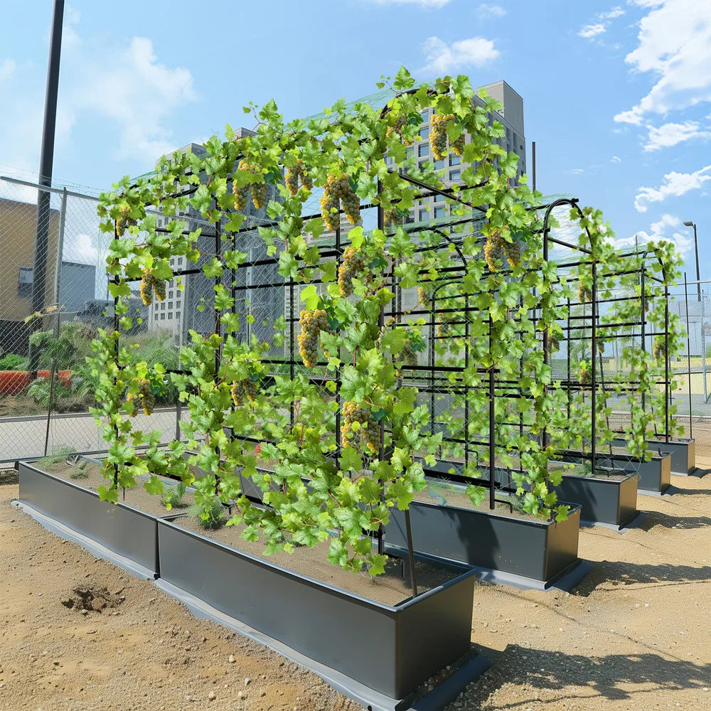 Tall U-Shaped Garden Plant Trellis