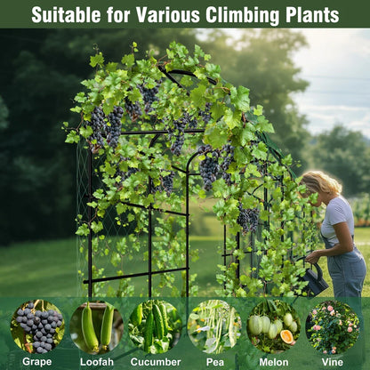 Tall U-Shaped Garden Plant Trellis