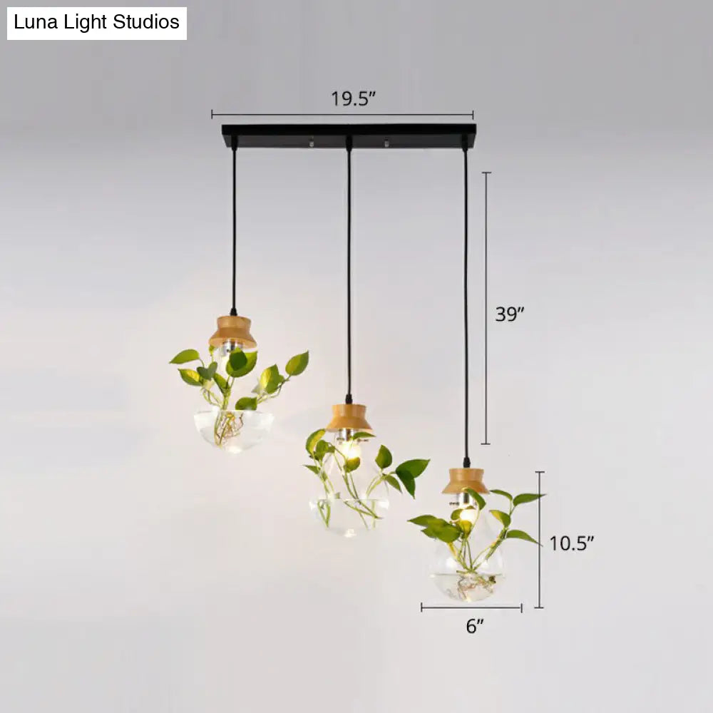 Teardrop Nordic Hydroponic Pendant Lamp - Clear Glass & Black